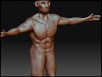 Click image for larger version

Name:	musculature.JPG
Views:	91
Size:	28.4 KB
ID:	48032