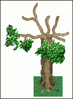Click image for larger version

Name:	the-old-tree.gif
Views:	143
Size:	19.8 KB
ID:	27408