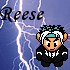 Reese's Avatar